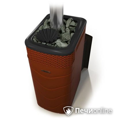 Дровяная банная печь TMF Гейзер XXL 2017 Inox Витра закрытая каменка терракота в Тамбове